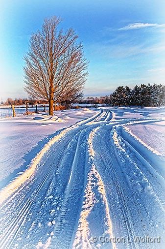 Snow Tracks_33586.jpg - Photographed near Smiths Falls, Ontario, Canada.